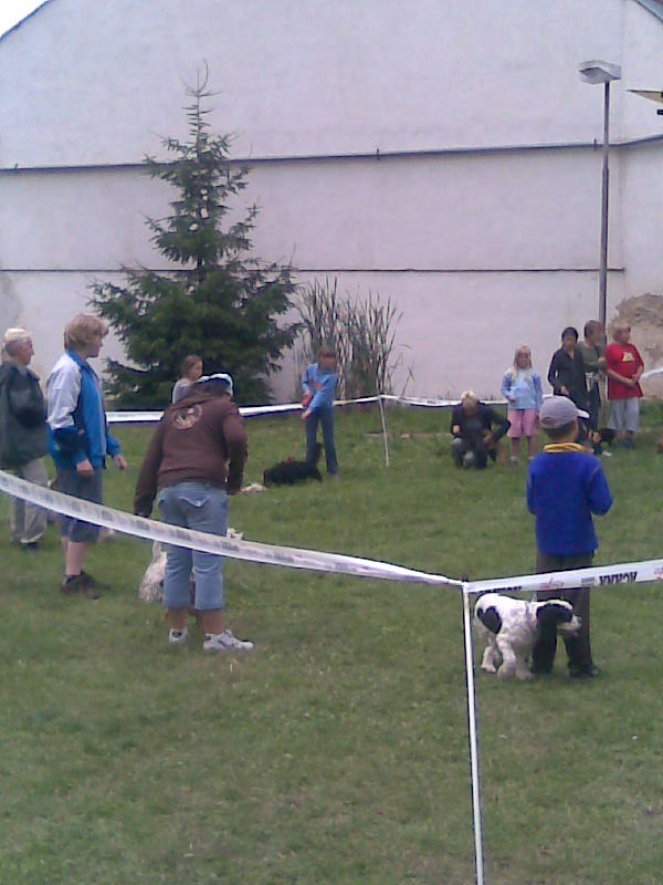 Snímek 044.jpg